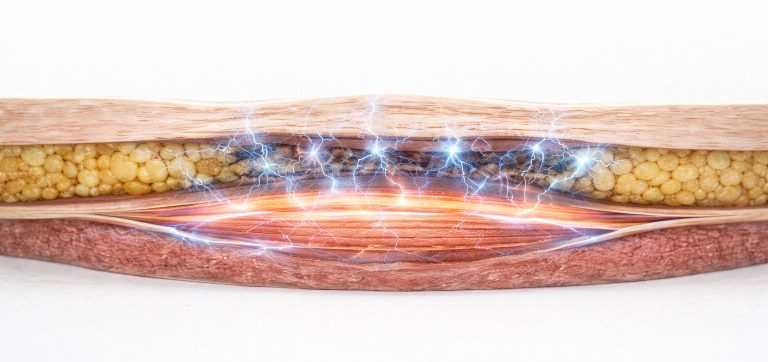 chatgpt image feb 12, 2026, 12 20 42 pm